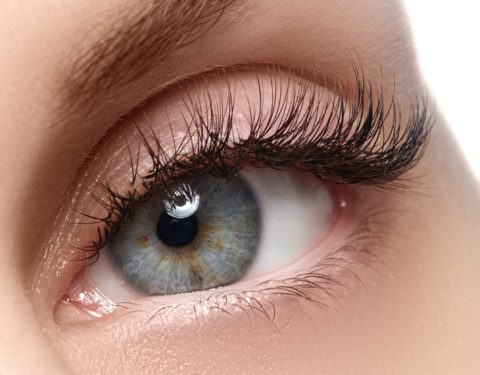 Eyelid and Eye Bag Aesthetics (Blepharoplasty)